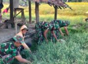 Satgas TMMD Bantu Petani Soko Panen Bawang Merah, Pendapatan Warga Melonjak