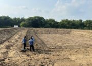 Tingkatkan Produktivitas Pertanian, Pemkab Bojonegoro Rampungkan 7 Embung