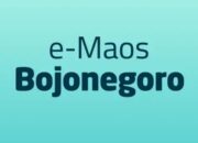 Baca Ribuan Buku Digital Gratis Cukup Lewat HP, Ini Caranya