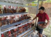 Telur Ayam Jadi Berkah, Warga Bojonegoro Mandiri Ekonomi Lewat GAYATRI