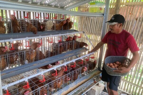 Telur Ayam Jadi Berkah, Warga Bojonegoro Mandiri Ekonomi Lewat GAYATRI