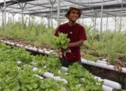 Pemuda Bojonegoro Ini Buktikan Bertani Itu Keren, Anak Muda Wajib Tahu