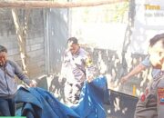 Polisi Selalu Gagal Ungkap Judi Sabung Ayam di Nganjuk, Ada Apa