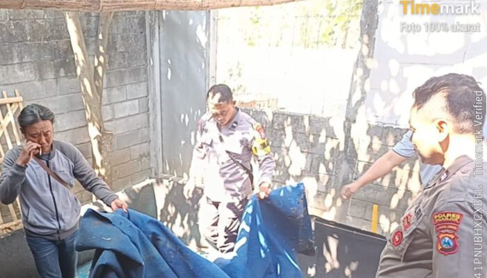 Polisi Selalu Gagal Ungkap Judi Sabung Ayam di Nganjuk, Ada Apa