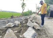 Proyek TPT Desa Supenuh Lamongan Beraroma Politik, Bangunan Rapuh Jadi Sorotan