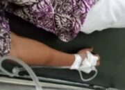 Siswa SD di Bojonegoro Keracunan Usai Makan Gratis dari Program Pemerintah