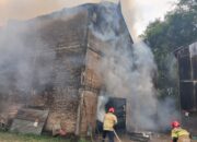 Api Lahap 8 Ton Tembakau, Petugas Damkar Bojonegoro Berjibaku di Sukosewu
