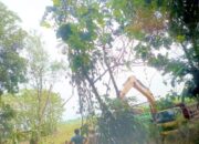 Padahal Dekat Polsek, Galian C Liar di Sumberrejo Bojonegoro Diduga Dibiarkan