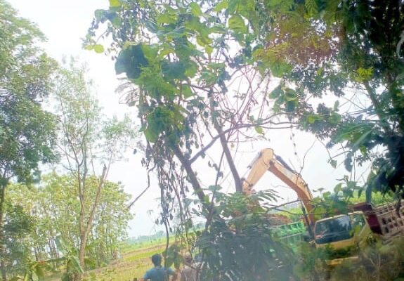 Padahal Dekat Polsek, Galian C Liar di Sumberrejo Bojonegoro Diduga Dibiarkan