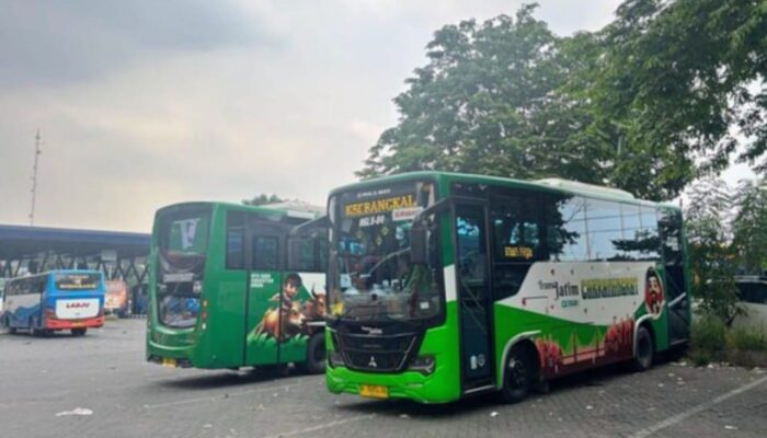 Jalur Baru Trans Jatim Koridor VII, Solusi Transportasi Warga Pantura Lamongan