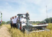 Sinergi TNI dan Pemkab, Lamongan Siap Jadi Lumbung Padi Nasional
