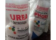 Pupuk Bersubsidi di Tuban Jadi Ladang Bisnis, Ini Fakta Mengejutkannya