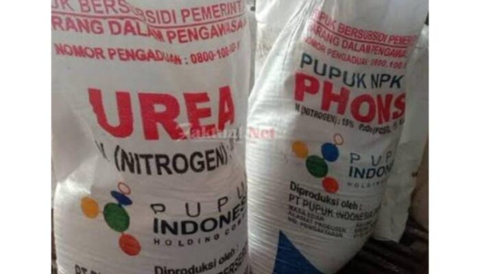 Pupuk Bersubsidi di Tuban Jadi Ladang Bisnis, Ini Fakta Mengejutkannya