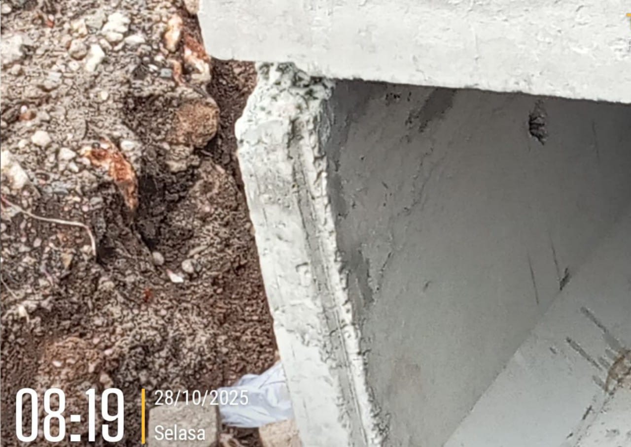 032a4f56 52b9 420c 895f 46f3ce66feec