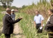 Tanah Jaminan Dilelang Tanpa Pemberitahuan, Warga Kediri Gugat BPR Bhapertim