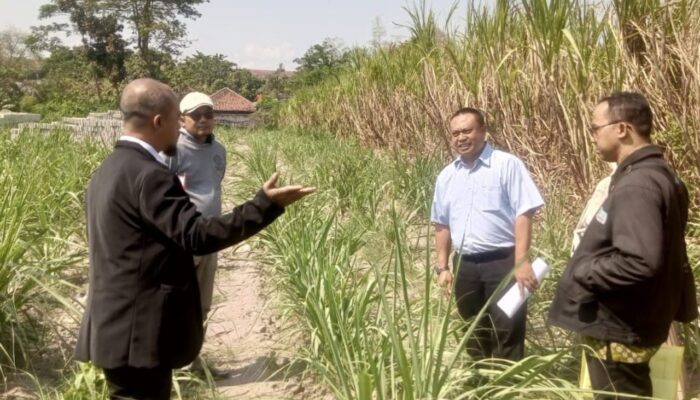 Tanah Jaminan Dilelang Tanpa Pemberitahuan, Warga Kediri Gugat BPR Bhapertim