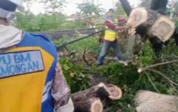 0cdb69a4 991b 491c bd35 15355cb7a4b4