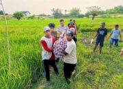 Petani Lamongan Tewas Terlilit Kabel Listrik Jebakan Tikus