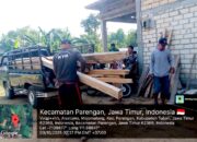Tangan Besi Perhutani, Tiga Pelaku Pembalakan Liar di Tuban Tersungkur di Hadapan Hukum