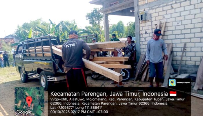 Tangan Besi Perhutani, Tiga Pelaku Pembalakan Liar di Tuban Tersungkur di Hadapan Hukum