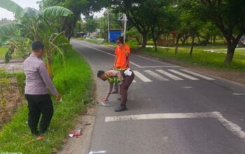 Tikungan Maut Kesongo Bojonegoro Telan Korban, Honda Scopy Hantam Truk