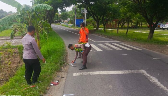 Tikungan Maut Kesongo Bojonegoro Telan Korban, Honda Scopy Hantam Truk
