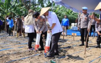 Polres Bojonegoro Jadi Pelopor Tanam Jagung Dukung Program Asta Cita Presiden Prabowo