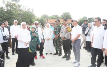 5f11dda7 a826 48ef b7ea 408353d220e3