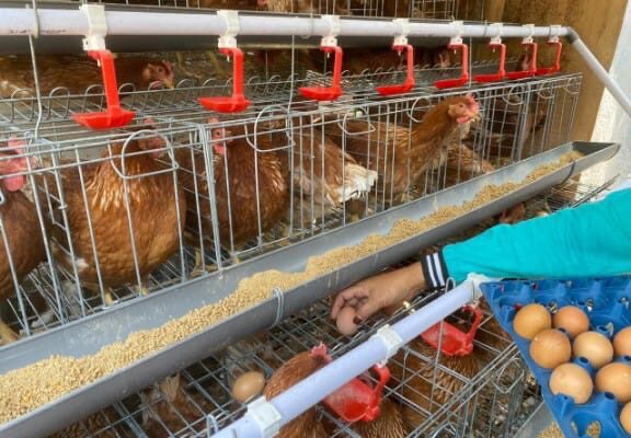 Ekonomi Warga Tumbuh, Begini Dampak Nyata Program GAYATRI di Bojonegoro