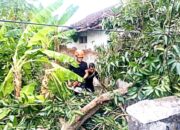 BPBD Bojonegoro Kerahkan Tim Tangani Bencana Angin