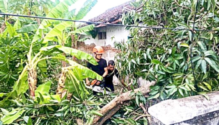 BPBD Bojonegoro Kerahkan Tim Tangani Bencana Angin