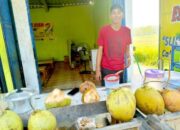 Keracunan Massal MBG di Kedungadem Bojonegoro, Penjual Kelapa Hijau Panen Rezeki