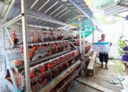 Rp 35 Miliar Digelontorkan, Program GAYATRI Bikin Ekonomi Desa Makin Berkembang