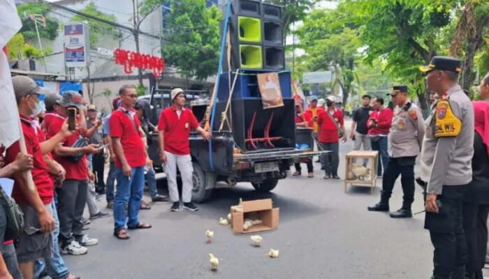 Peternak Ayam Broiler Lamongan Protes Sidak Tanpa Prosedur