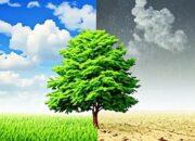 Musim Pancaroba Jangan Anggap Remeh Bersin dan Batuk, Begini Penjelasannya