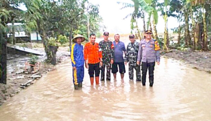 Hujan Deras Bikin Sungai Pacal Meluap, BPBD Bojonegoro Siaga 24 Jam