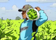 Buruh Rokok dan Petani Tembakau Bojonegoro Terima BLT Cukai, Cek Lokasi Penyalurannya