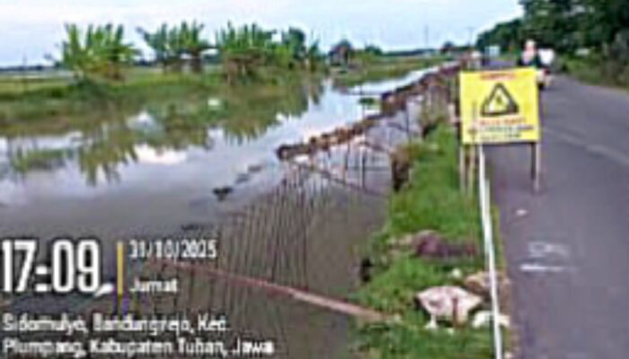 Diduga Asal Cor, Proyek TPT di Bandungrejo Tuban Dikerjakan Saat Tanah Tergenang Air