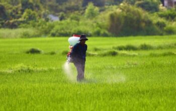 1762270030307 copy 1280x838