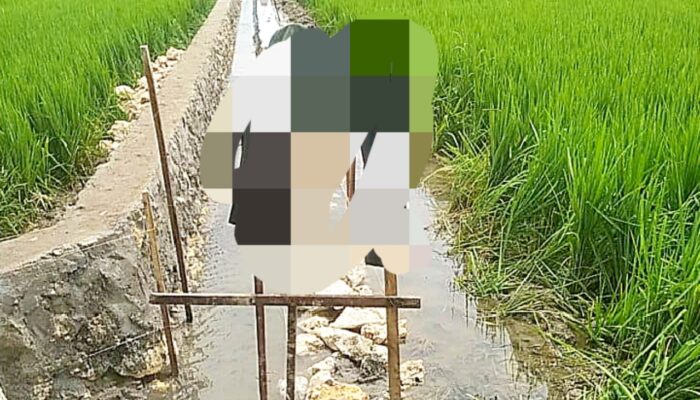 Parah, Proyek Irigasi Rp195 Juta Pandanwangi Tuban Dikerjakan di Genangan Air