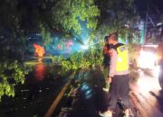 Terjangan Angin Puting Beliung Rusak Warung PKL di Lamongan