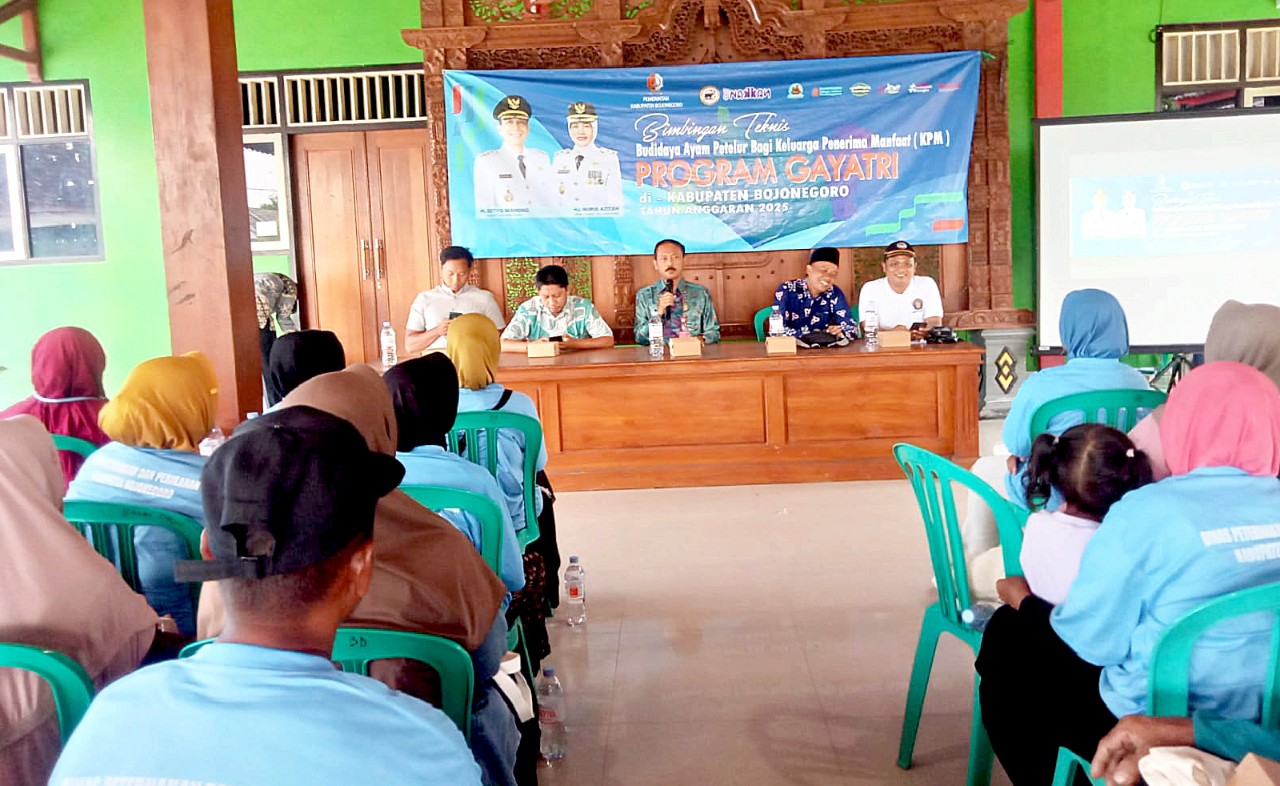 1763803629076 copy 1280x786