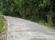 Program BKKD 2025: Desa Prangi Bojonegoro Kebagian Proyek Jalan Baru