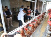 Gerakan GAYATRI di Bojonegoro, Langkah Cerdas Bangun Ekonomi dari Kandang Ayam