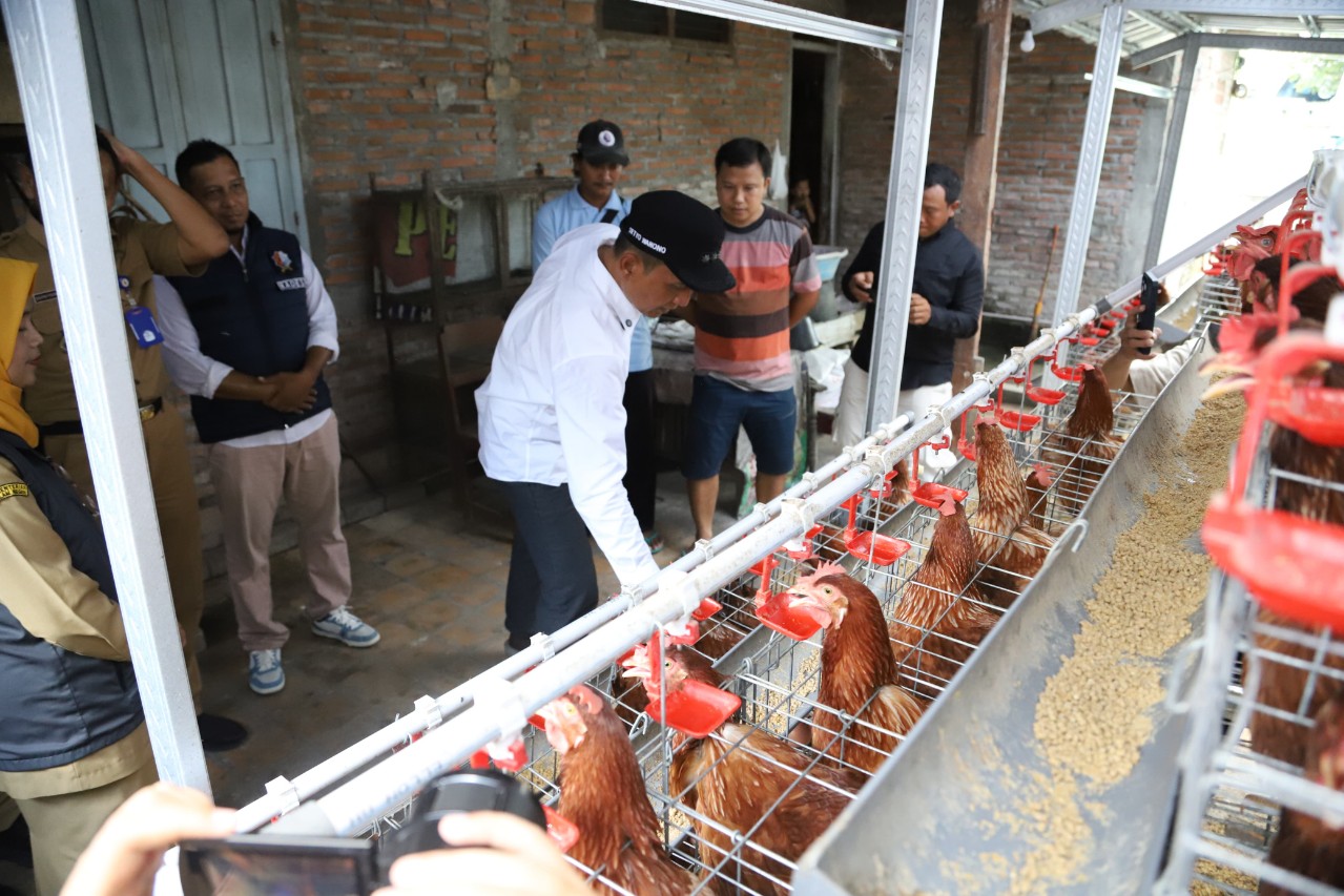 Img 20251103 wa0029 copy 1280x853