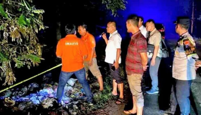 Lamongan Diguncang Misteri: Mayat Perempuan Hangus Ditemukan di Hutan