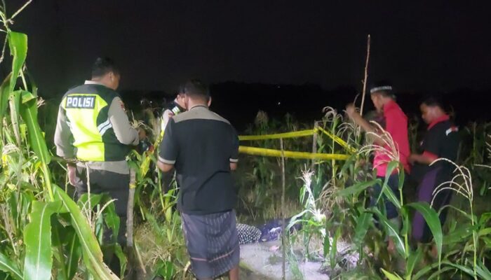 Tragis, Petani di Ngrandu Bojonegoro Ditemukan Tewas di Tengah Sawah