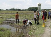 BPN Bojonegoro Ajak Warga Pasang Patok dan Stop Cekcok Soal Batas Tanah
