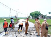 Akses Antar Dusun Diperbaiki, Jalan Rigid Beton Tegalkodo Bojonegoro Mulus