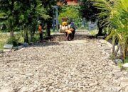 BKKD Bojonegoro Gaspol, Jalan Desa Mayangkawis Balen Dibenahi Besar-besaran